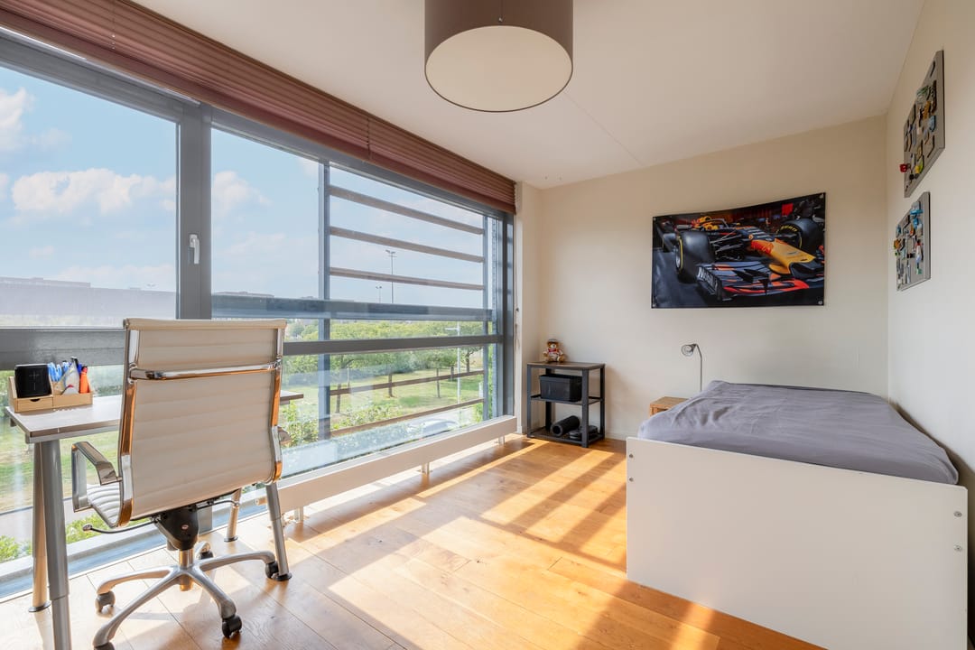 Foto 28 van Weerschijnvlinder 45