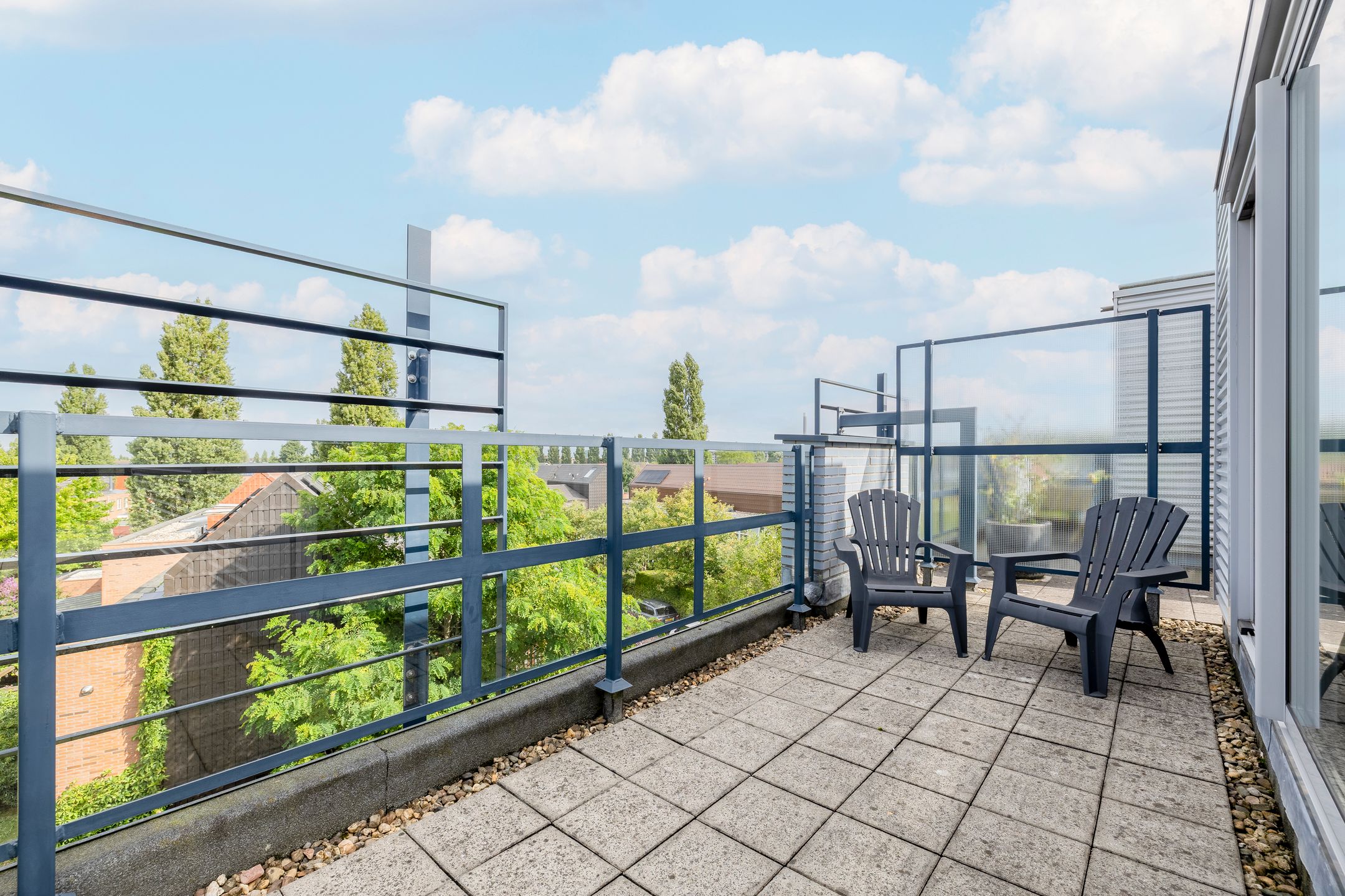 Foto 42 van Weerschijnvlinder 45