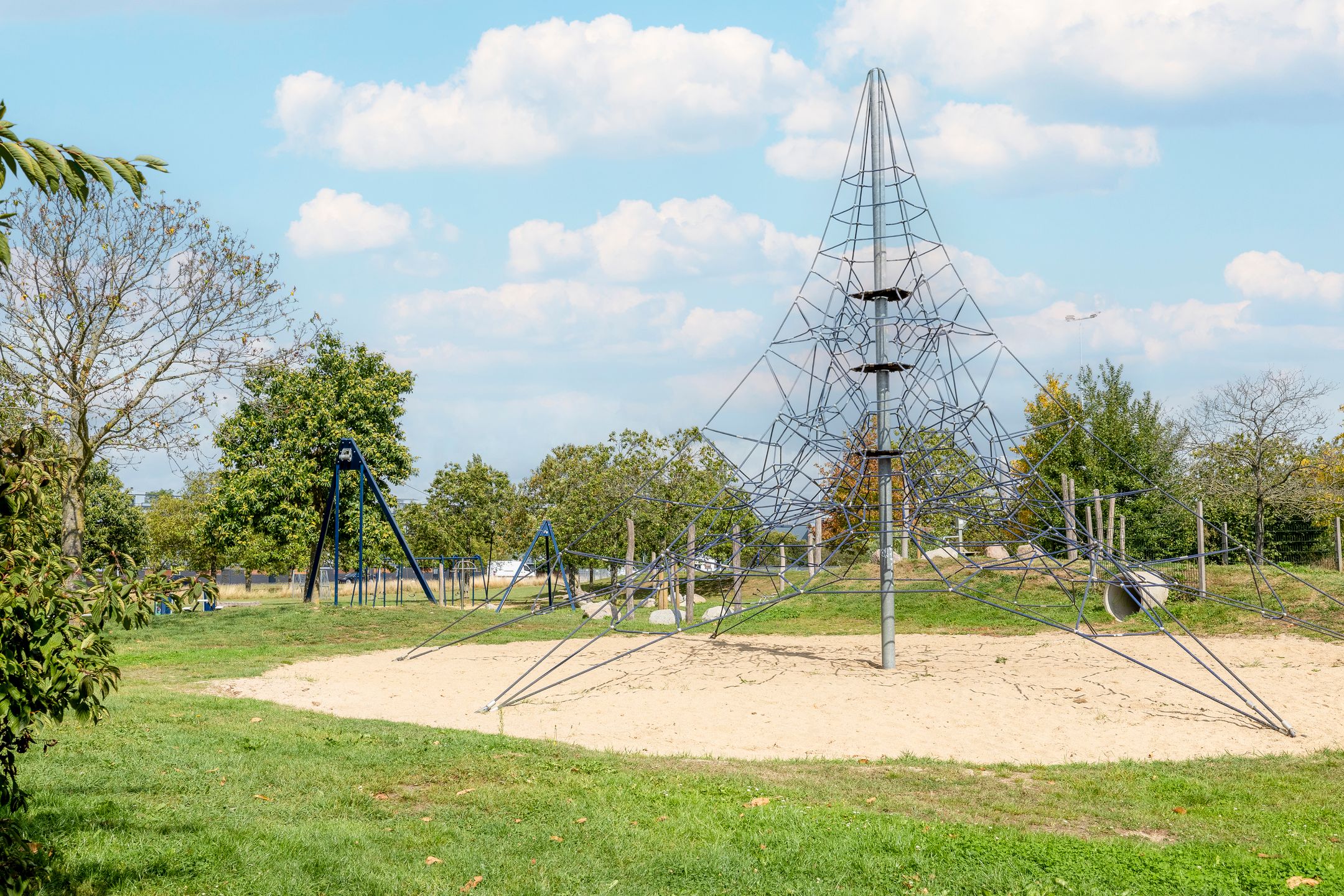 Foto 45 van Weerschijnvlinder 45