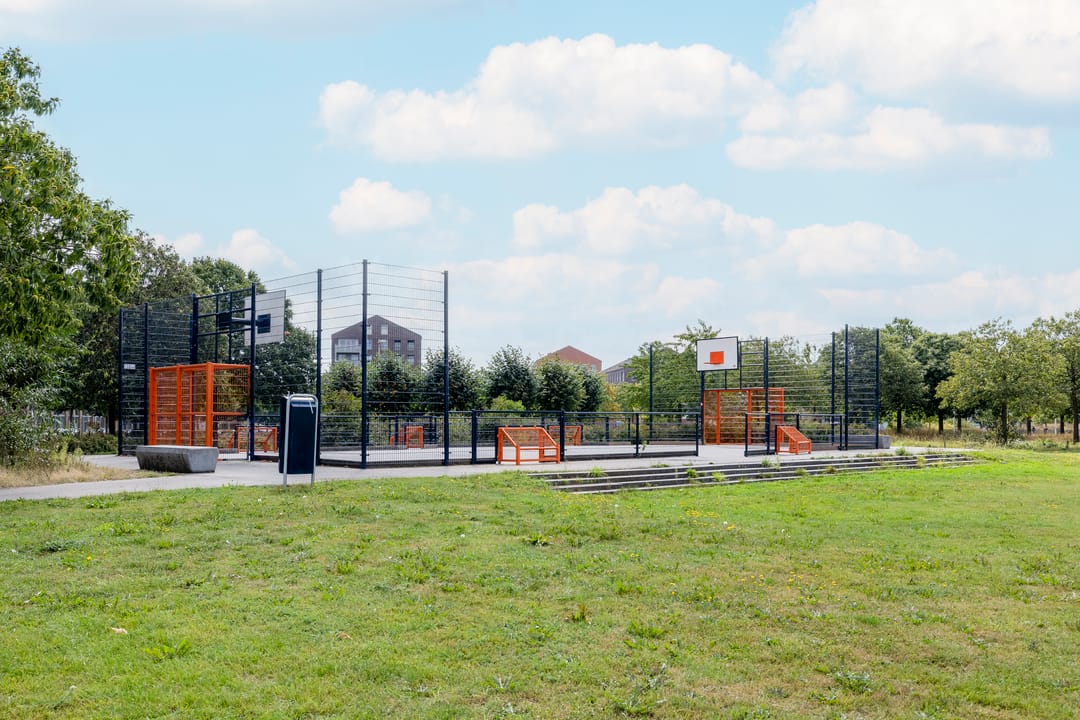 Foto 46 van Weerschijnvlinder 45