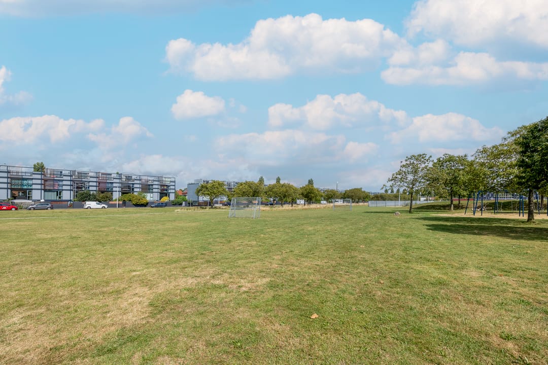 Foto 47 van Weerschijnvlinder 45