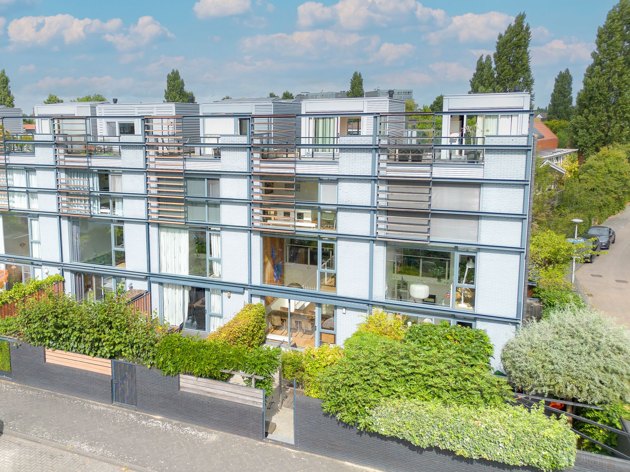 Foto 48 van Weerschijnvlinder 45