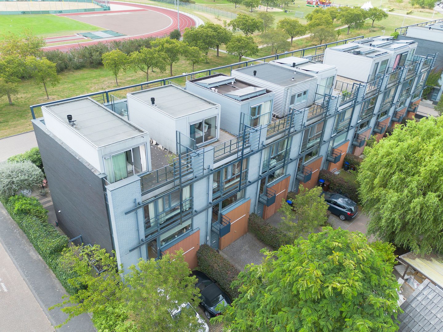 Foto 50 van Weerschijnvlinder 45