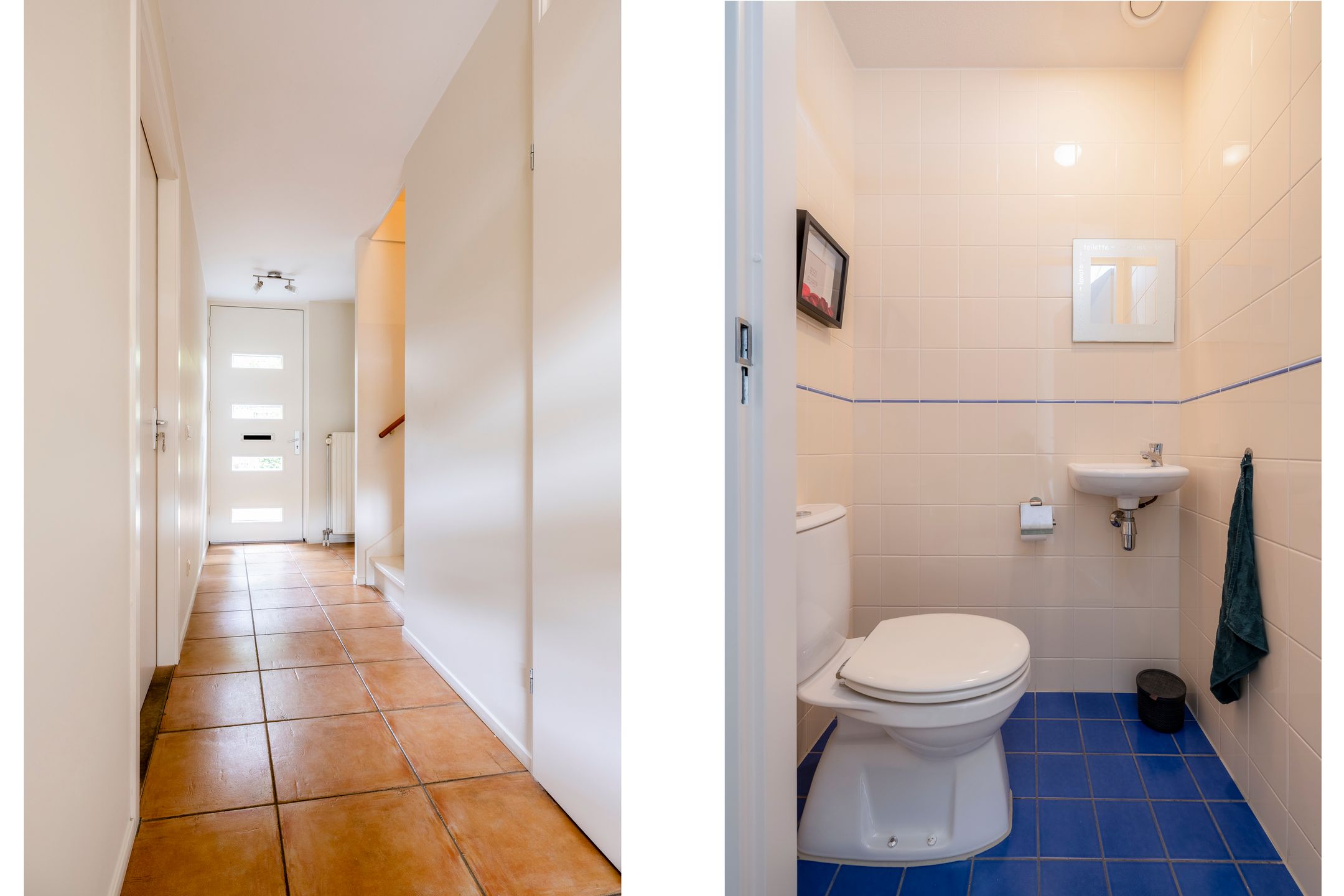 Foto 51 van Weerschijnvlinder 45