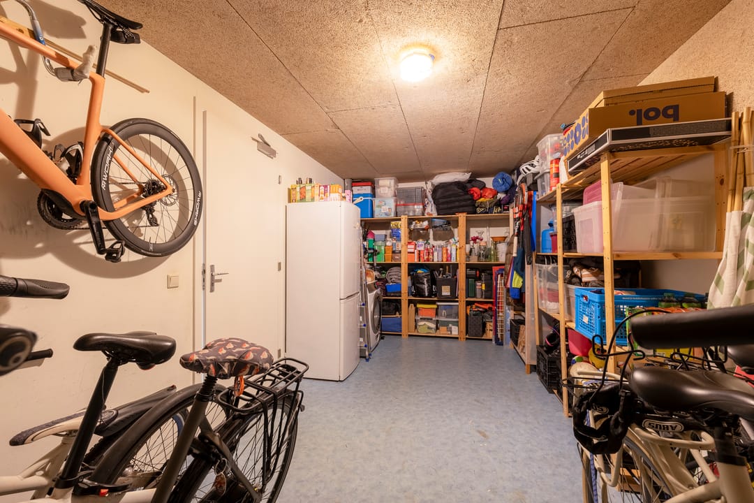 Foto 53 van Weerschijnvlinder 45