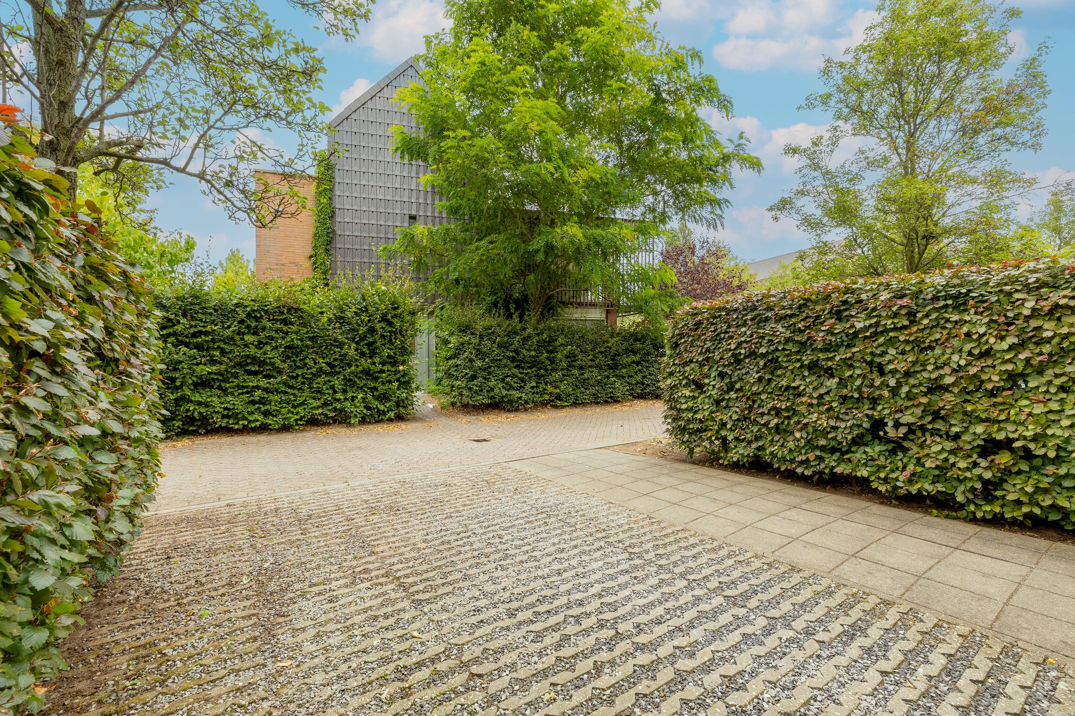 Foto 54 van Weerschijnvlinder 45