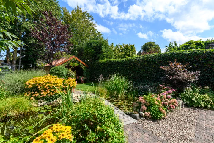 Foto 40 van Van Helomalaan 16