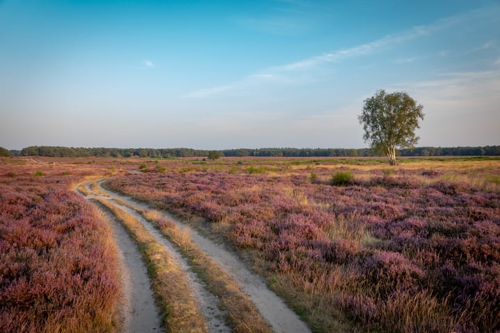 Foto 25 van Buisweg 96