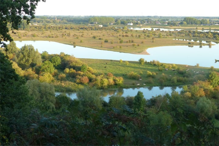 Foto 3 van Vogelenzang 8