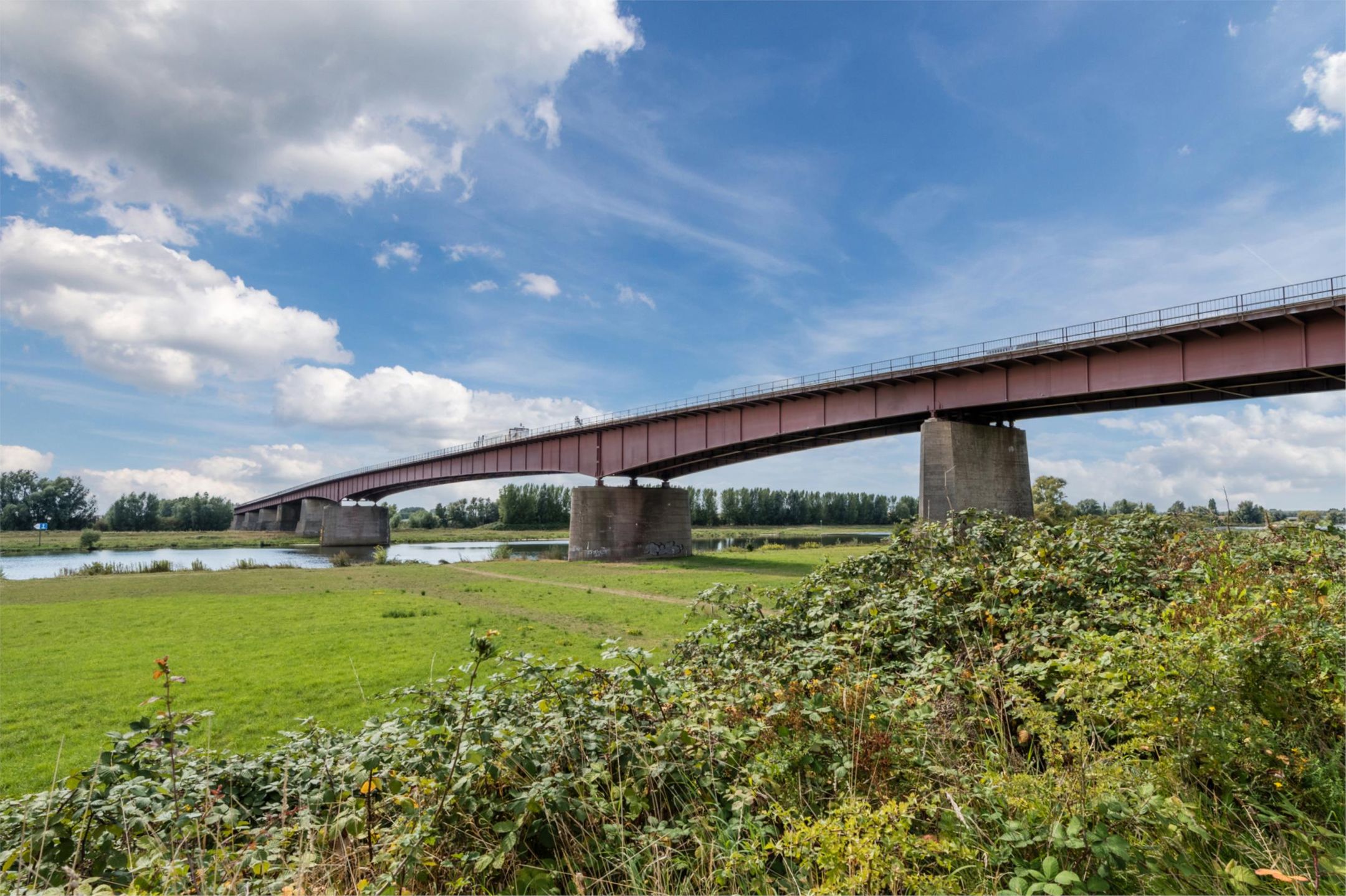 Foto 45 van Vogelenzang 8