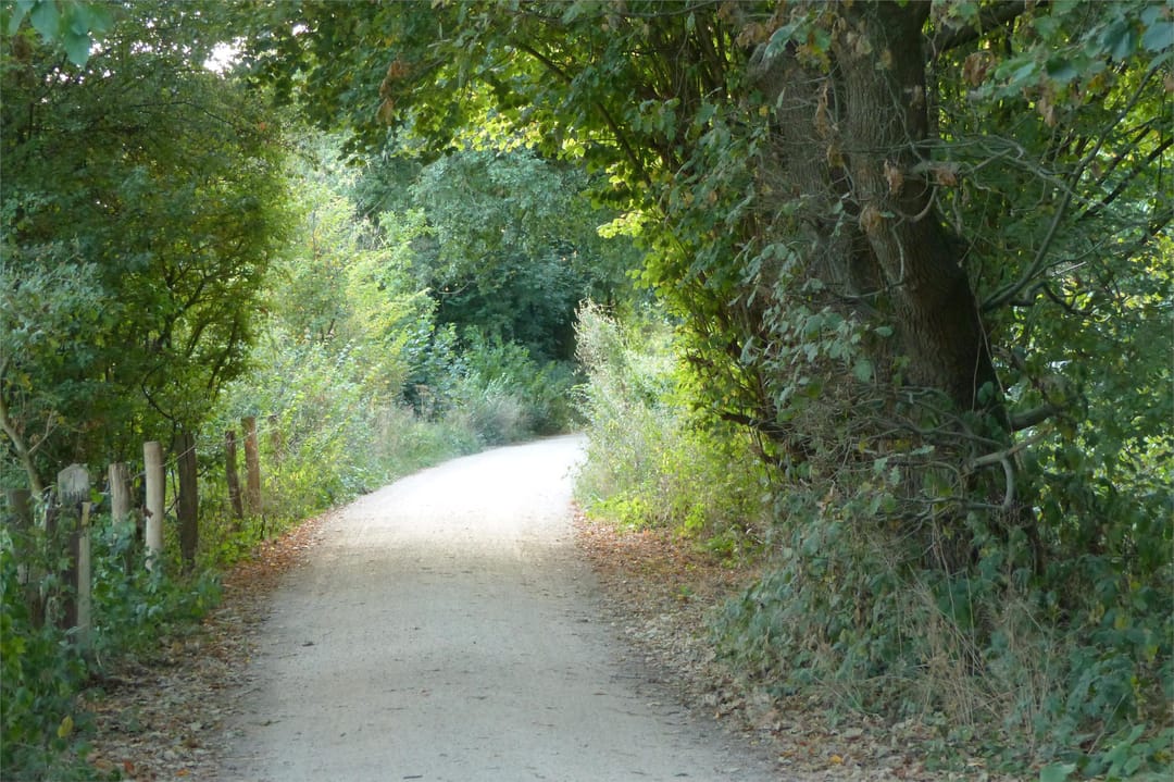 Foto 46 van Vogelenzang 8