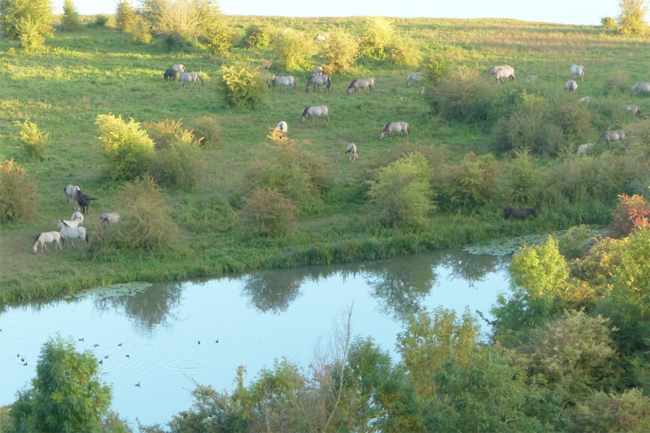 Foto 48 van Vogelenzang 8