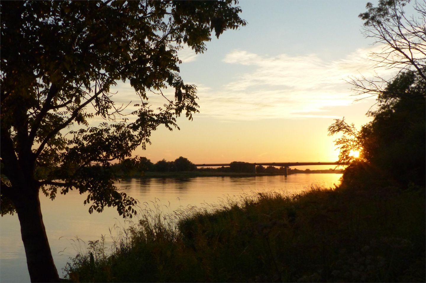 Foto 49 van Vogelenzang 8