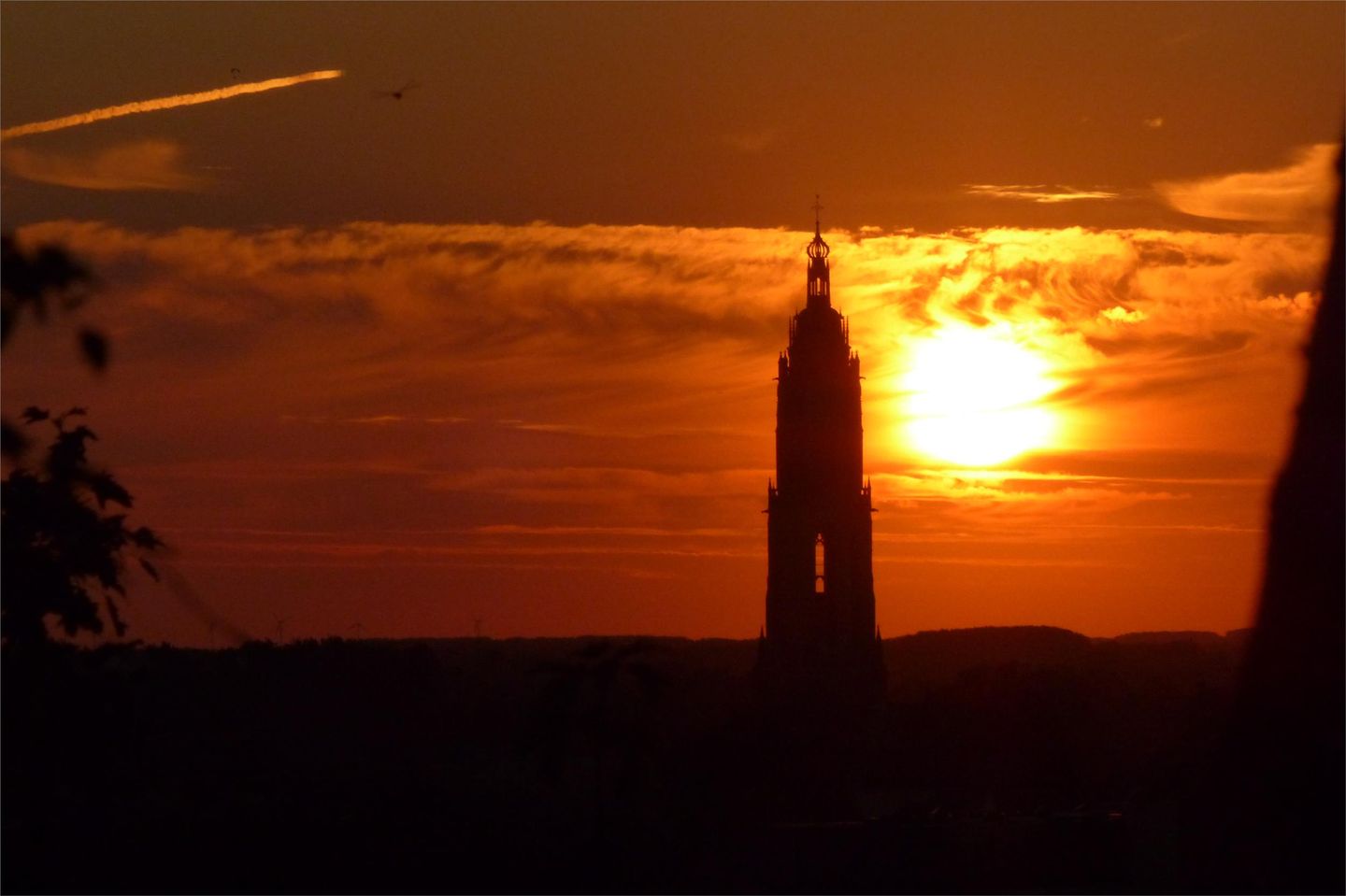 Foto 50 van Vogelenzang 8