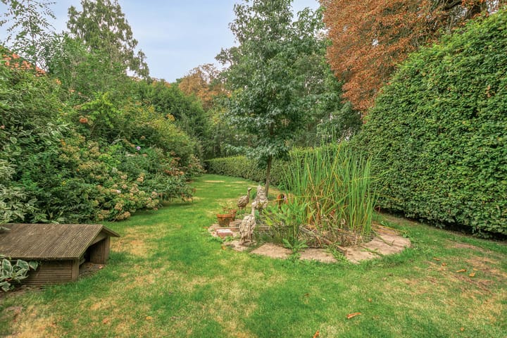 Photo 39 of Zandstraat 12