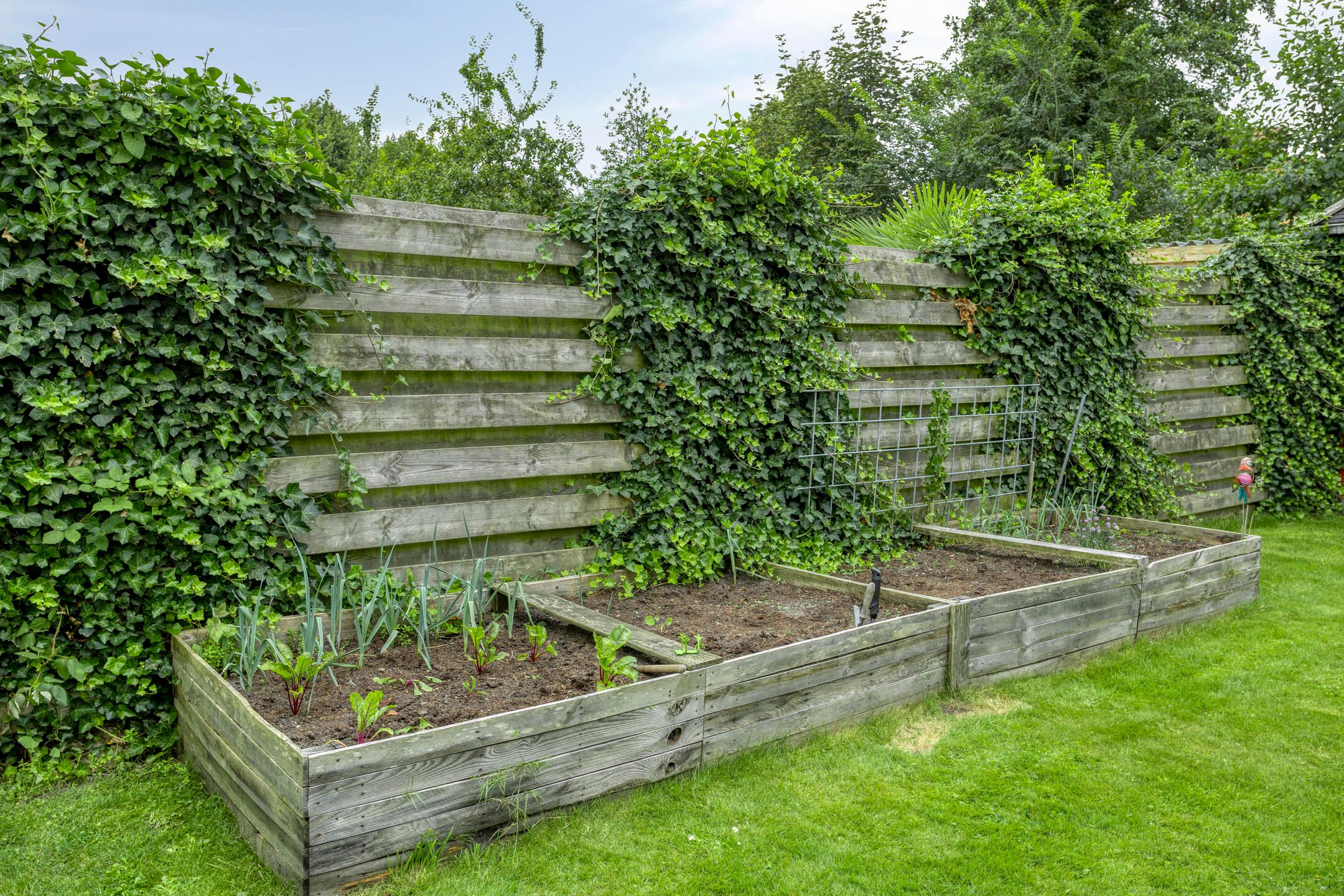 Foto 45 van Julianastraat 35