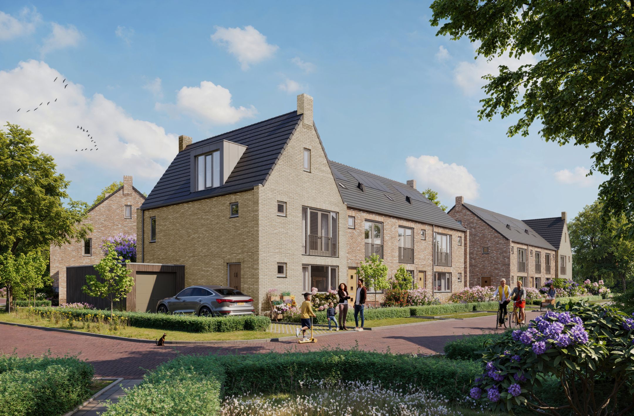 Type B (Bouwnr. 8) false