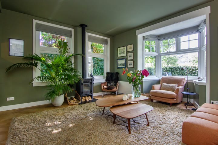 Foto 5 van Johan de Wittlaan 2