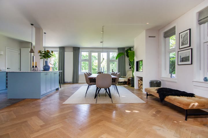 Foto 10 van Johan de Wittlaan 2