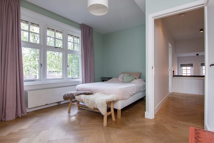 Foto 36 van Johan de Wittlaan 2