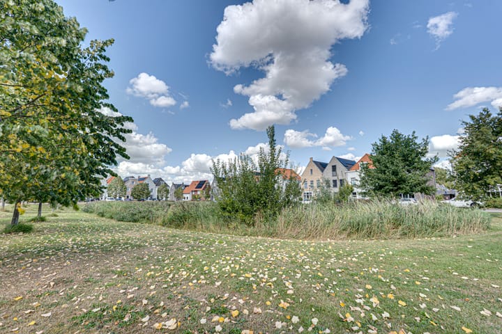 Foto 59 van Vedelplein 22