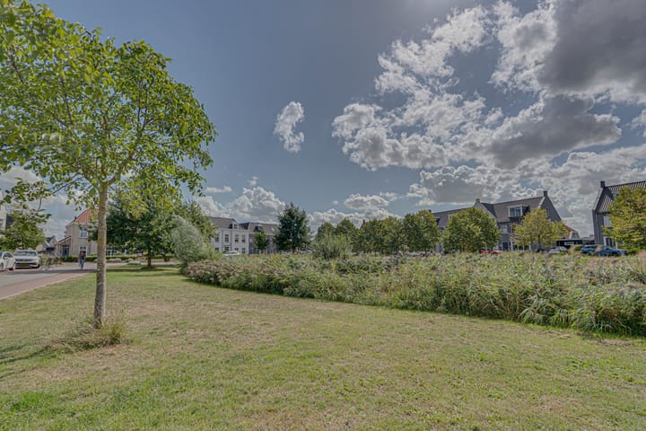 Foto 67 van Vedelplein 22