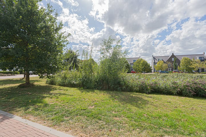 Foto 68 van Vedelplein 22