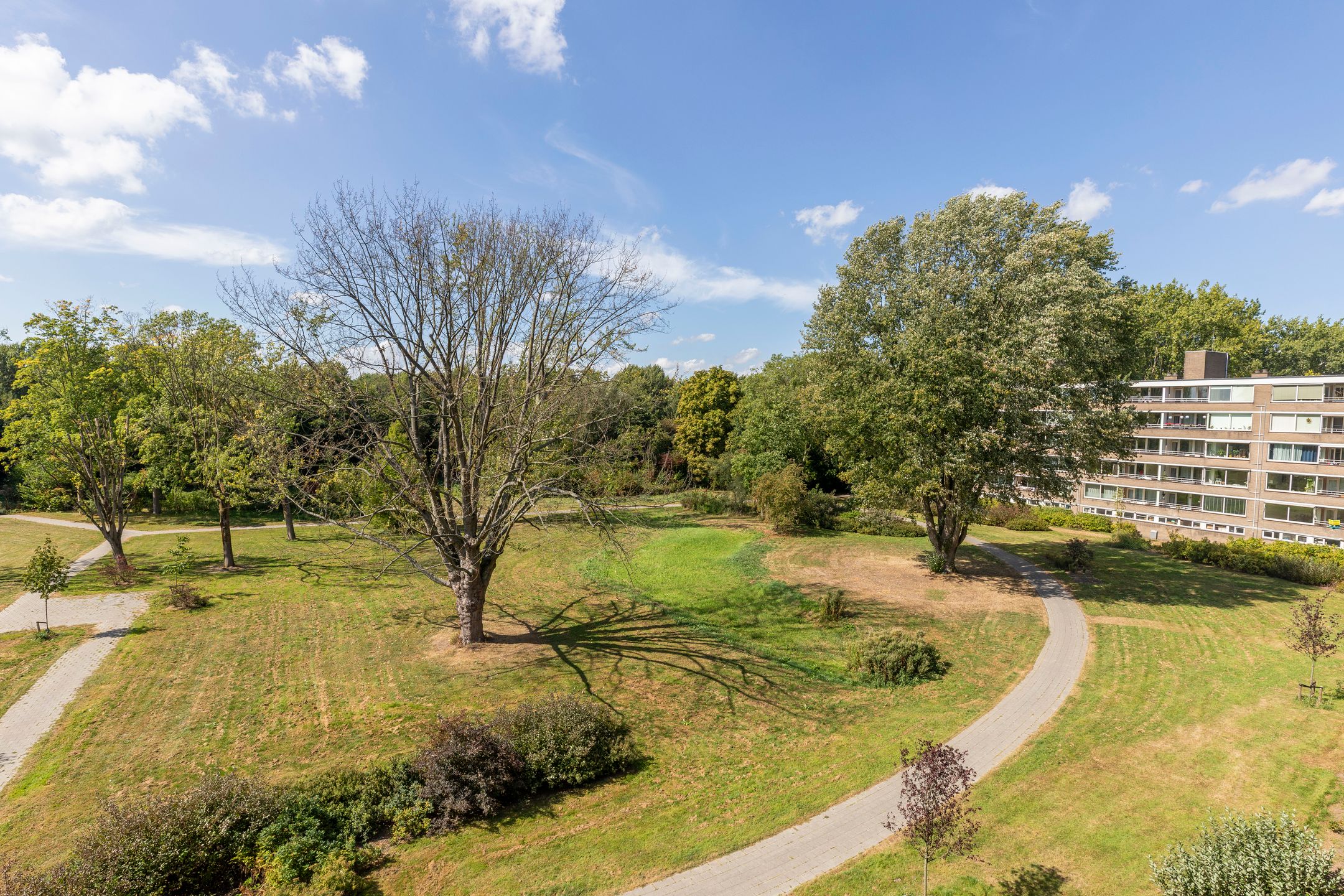 Adriaan Dortsmanstraat 135 