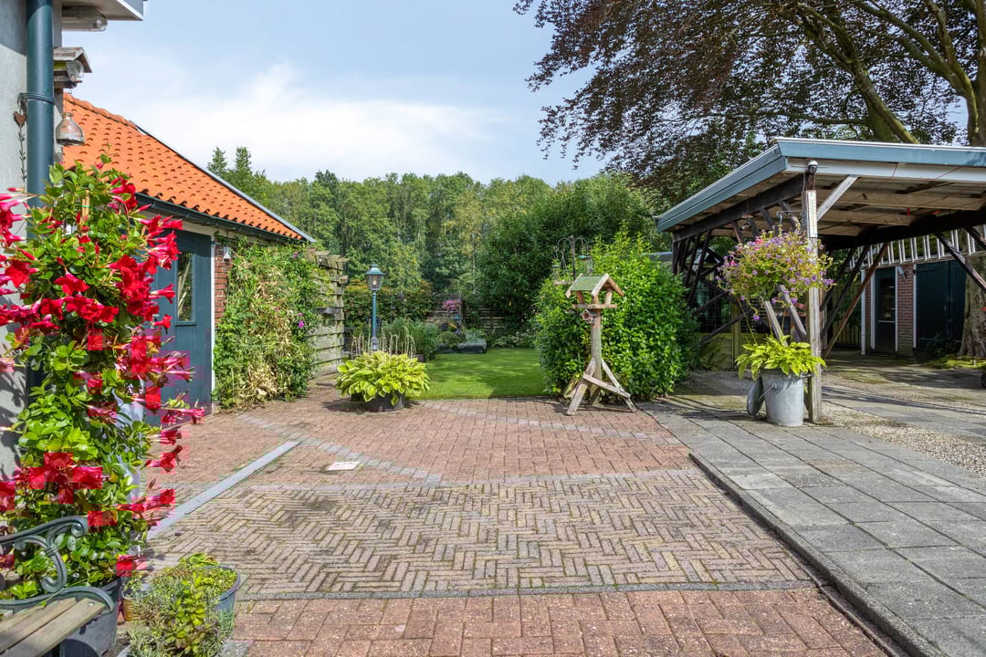 Foto 52 van Noorderstraat 43