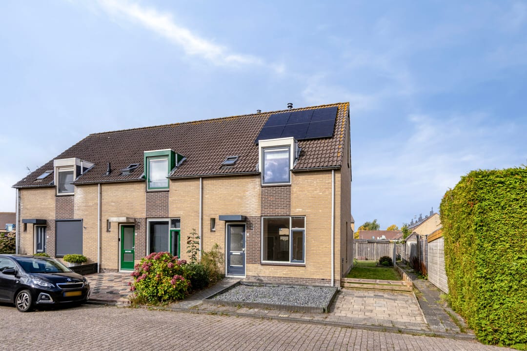 Foto 1 van Fonteinkruid 2