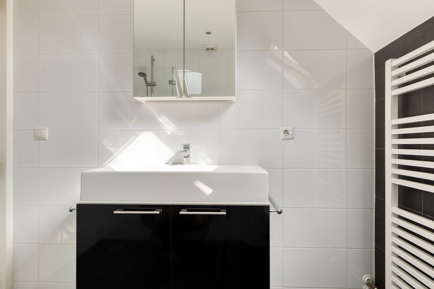 Foto 20 van Fonteinkruid 2