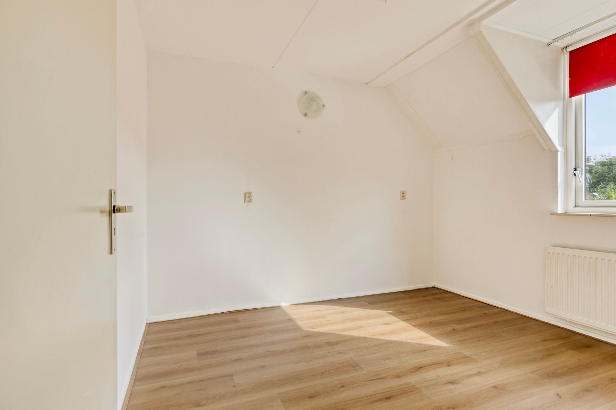 Foto 21 van Fonteinkruid 2