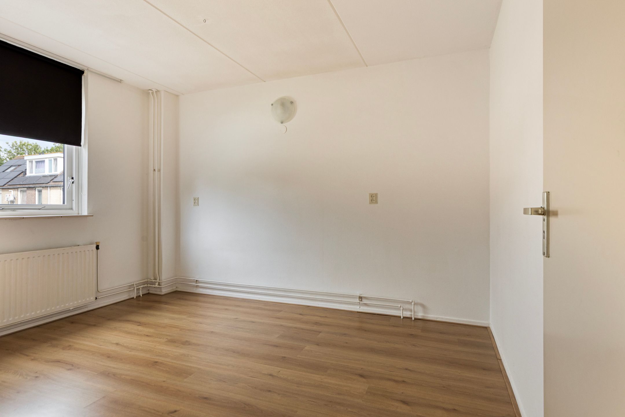 Foto 24 van Fonteinkruid 2