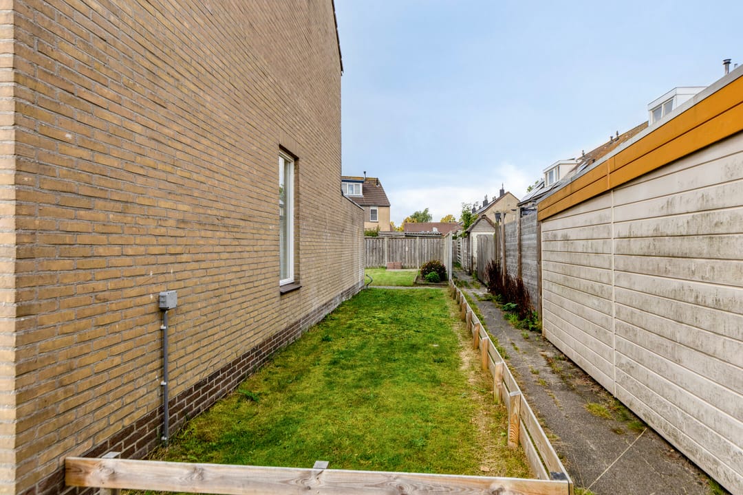 Foto 31 van Fonteinkruid 2