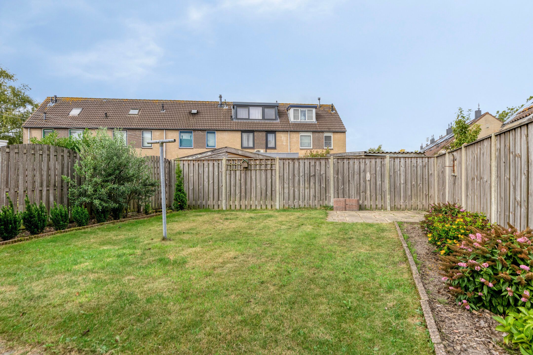 Foto 30 van Fonteinkruid 2