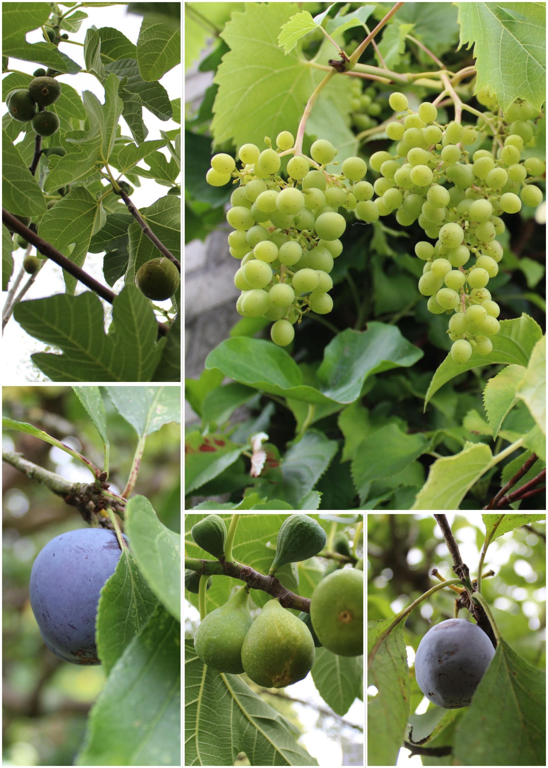 Foto 24 van Vesting 5