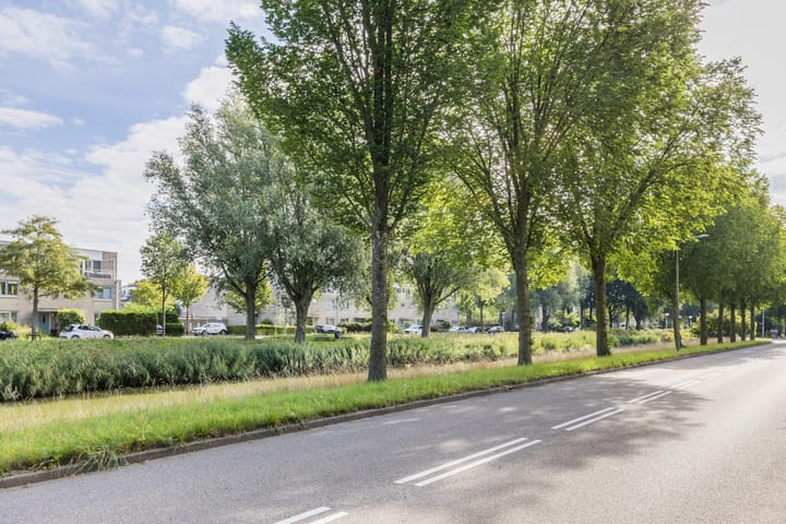 Foto 65 van Marshallsingel 33