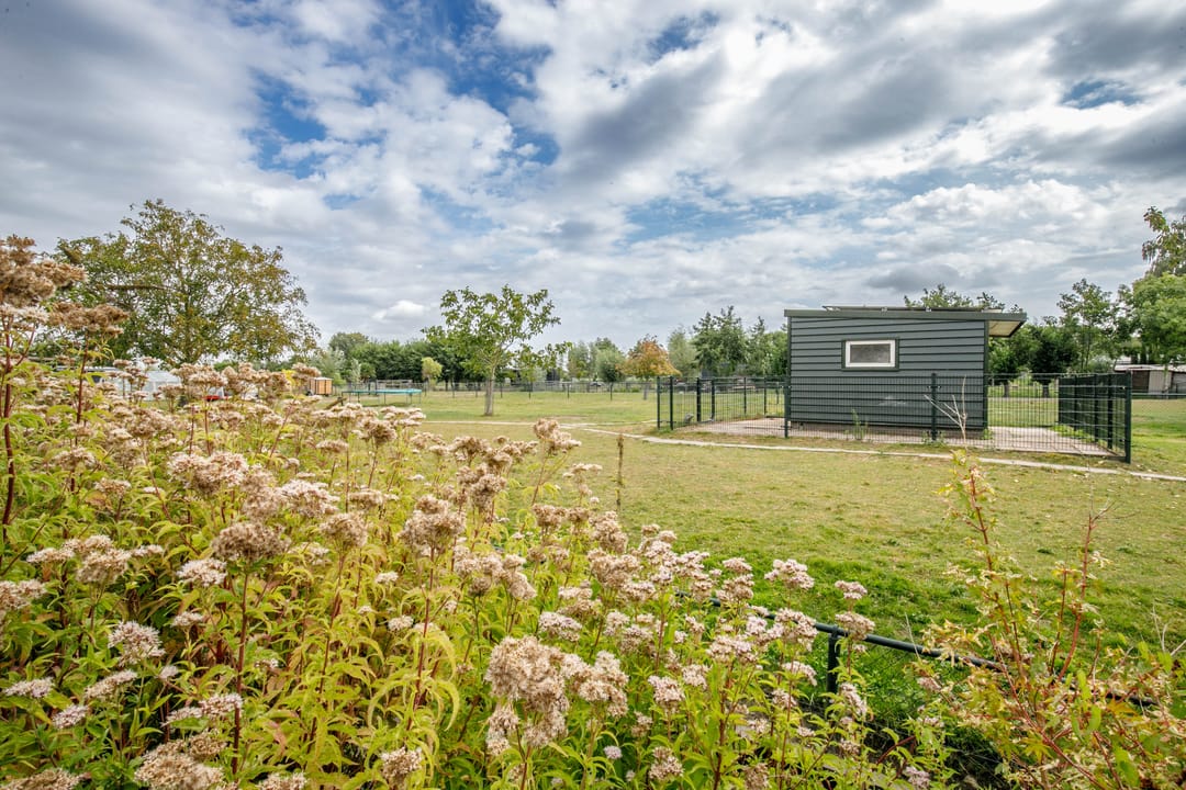 Foto 32 van Dijklaan 146