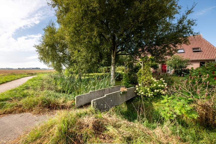 Foto 3 van Juisterpad 2