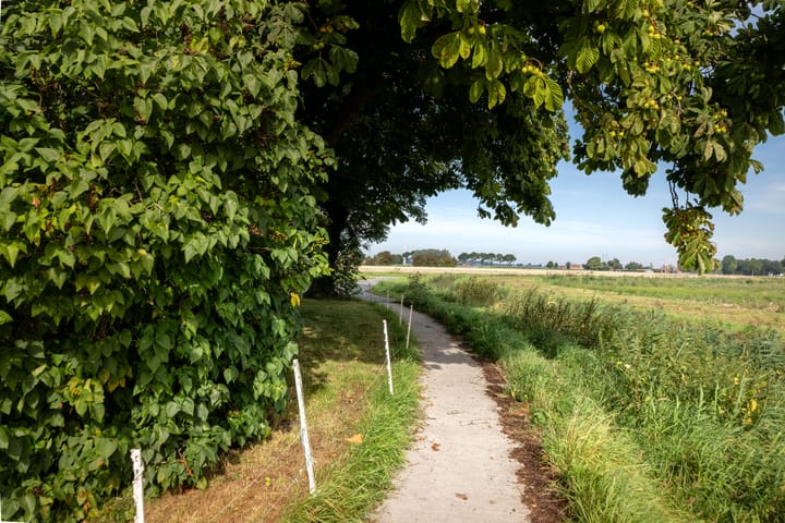 Foto 4 van Juisterpad 2