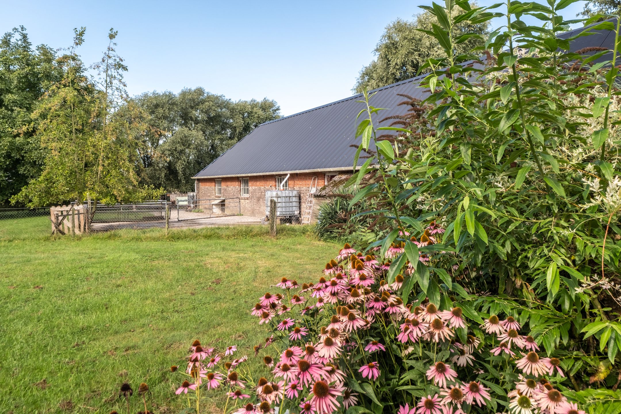 Foto 27 van Juisterpad 2