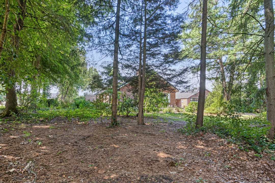 Foto 88 van Hoge Valksedijk 1