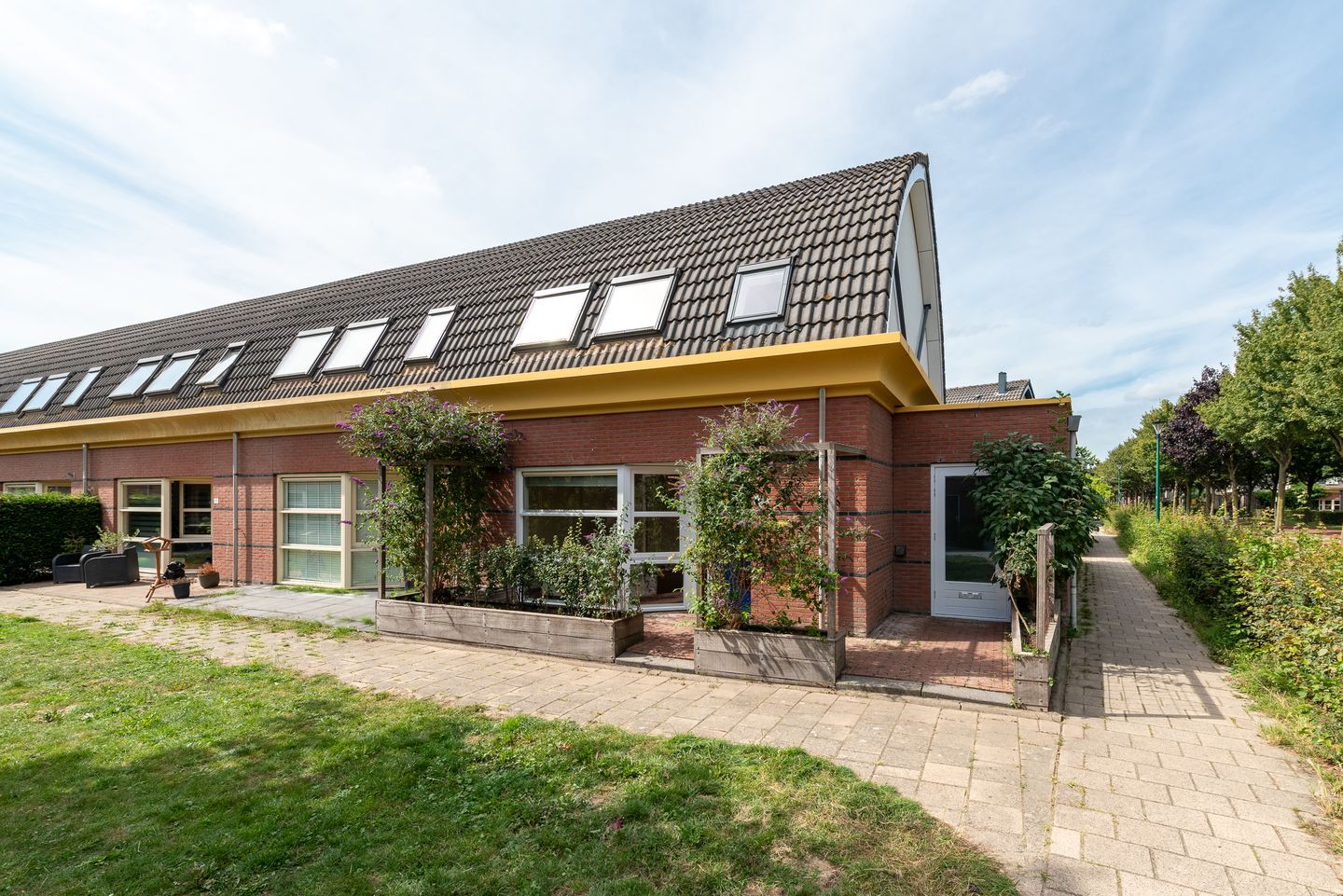 Foto 1 van Vlechthout 14