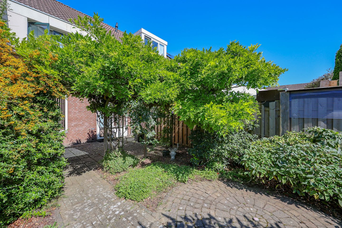 Foto 25 van Punter 40 36