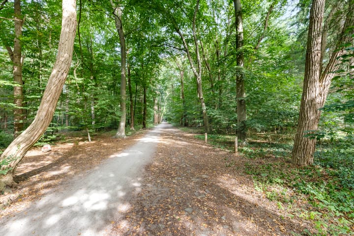 Photo 31 of Gijsbrecht van Amstelstraat 450