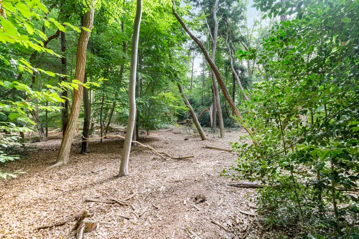 Photo 32 of Gijsbrecht van Amstelstraat 450