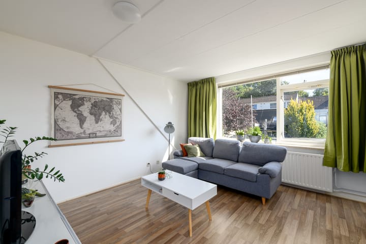 Foto 2 van De Twee Gebroeders 205