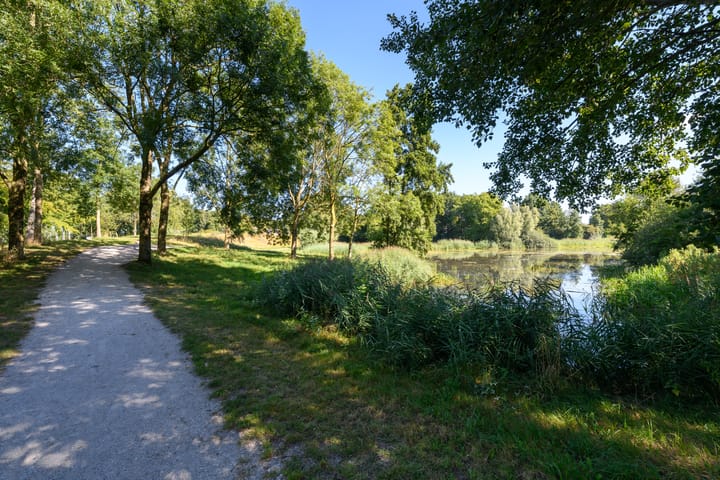 Foto 26 van De Twee Gebroeders 205