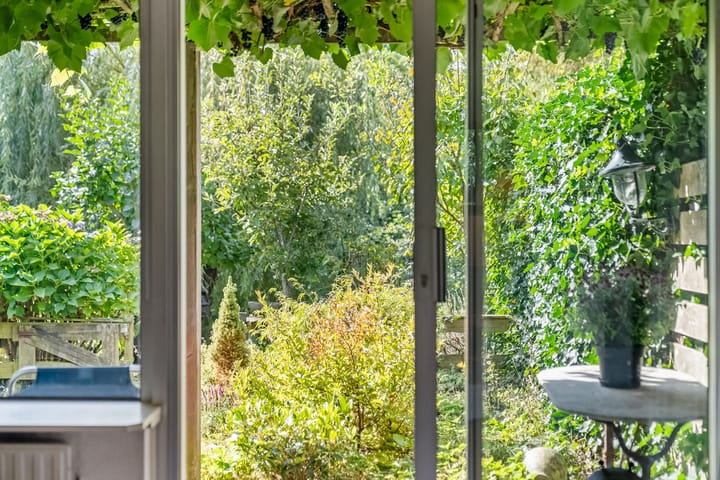 Foto 28 van Parelduiker 4