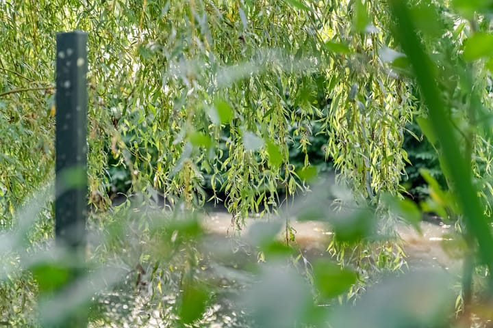 Foto 30 van Parelduiker 4